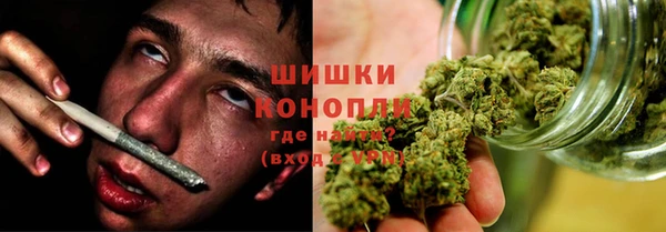 эйфоретик Вяземский