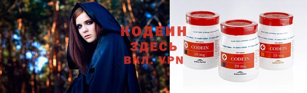 дживик Вязьма