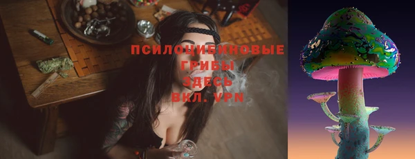 эйфоретик Вяземский