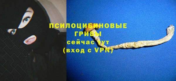 эйфоретик Вяземский
