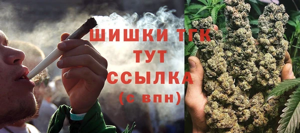 дживик Вязьма