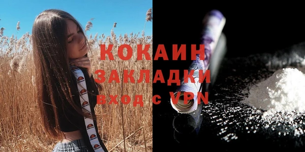 эйфоретик Вяземский
