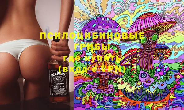 эйфоретик Вяземский