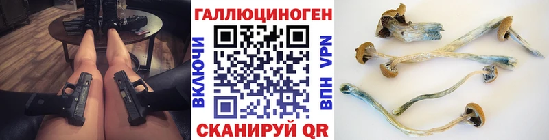 Псилоцибиновые грибы Cubensis  как найти   Севастополь 